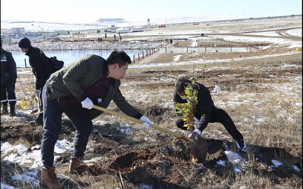 Pessoas plantam árvores no distrito de Nalaikh em Ulan Bator, Mongólia