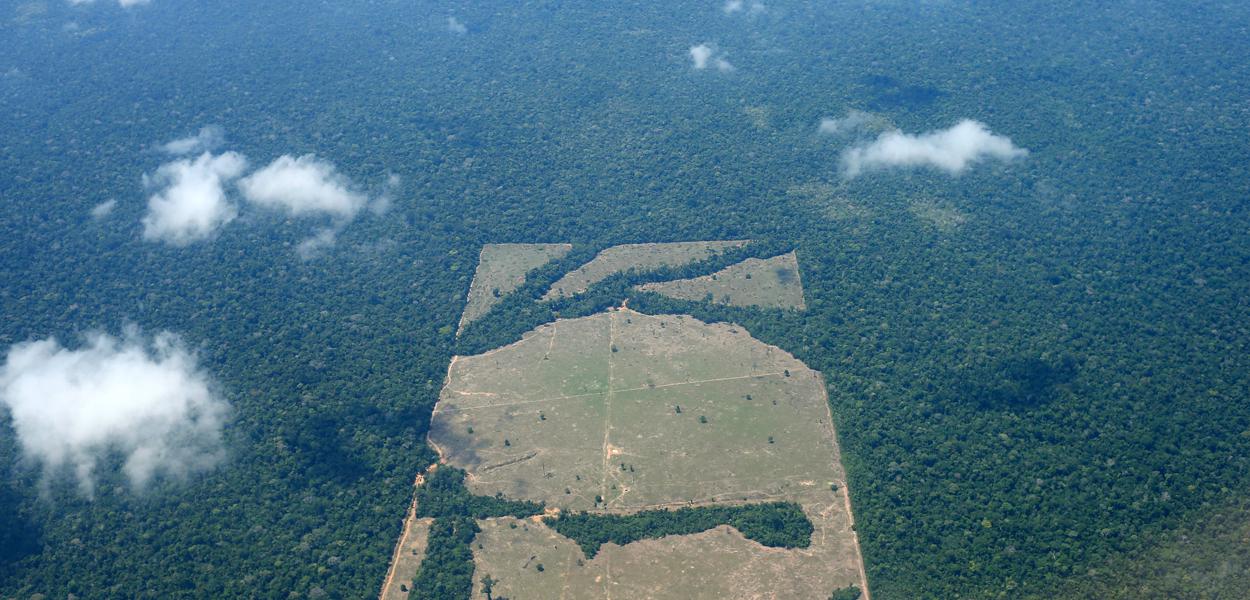 Vista aérea de área desmatada da floresta amazônica