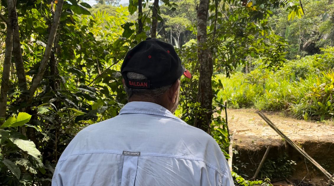 Extrativistas são ameaçados em Rondônia