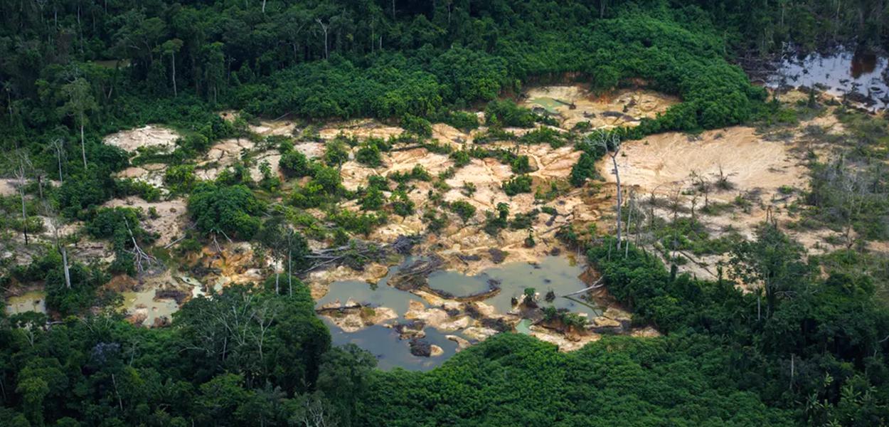 Garimpo ilegal continua destruindo a biodiversidade na Amazônia