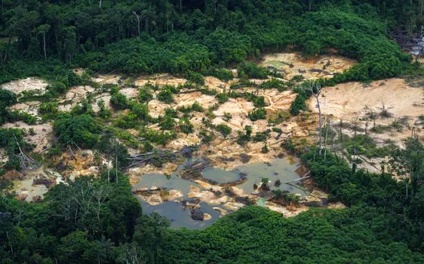 Garimpo ilegal continua destruindo a biodiversidade na Amazônia