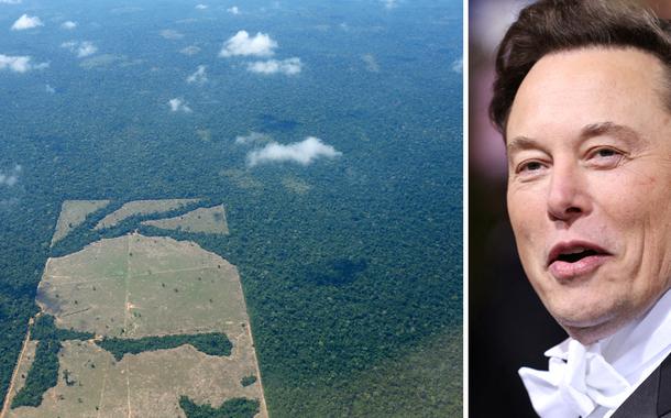 Amazônia e Elon Musk