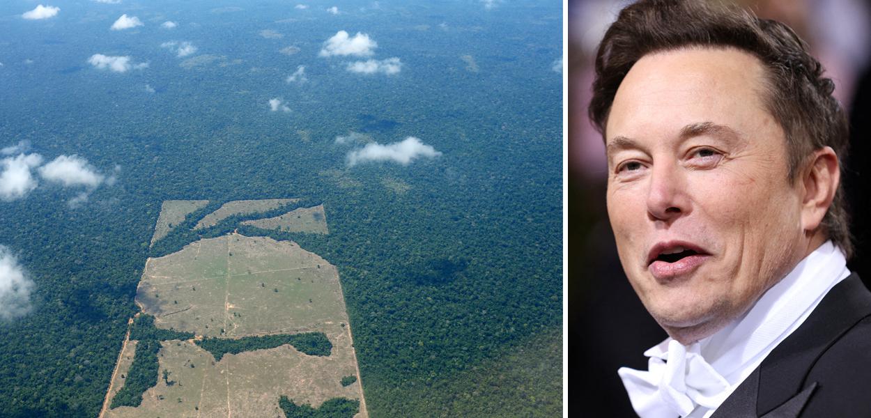 Amazônia e Elon Musk