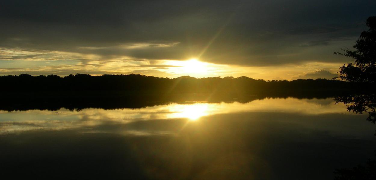 Reserva de Mamirauá, Tefé, AM