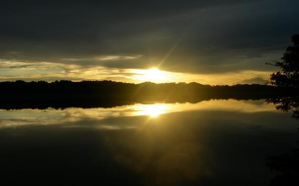 Reserva de Mamirauá, Tefé, AM