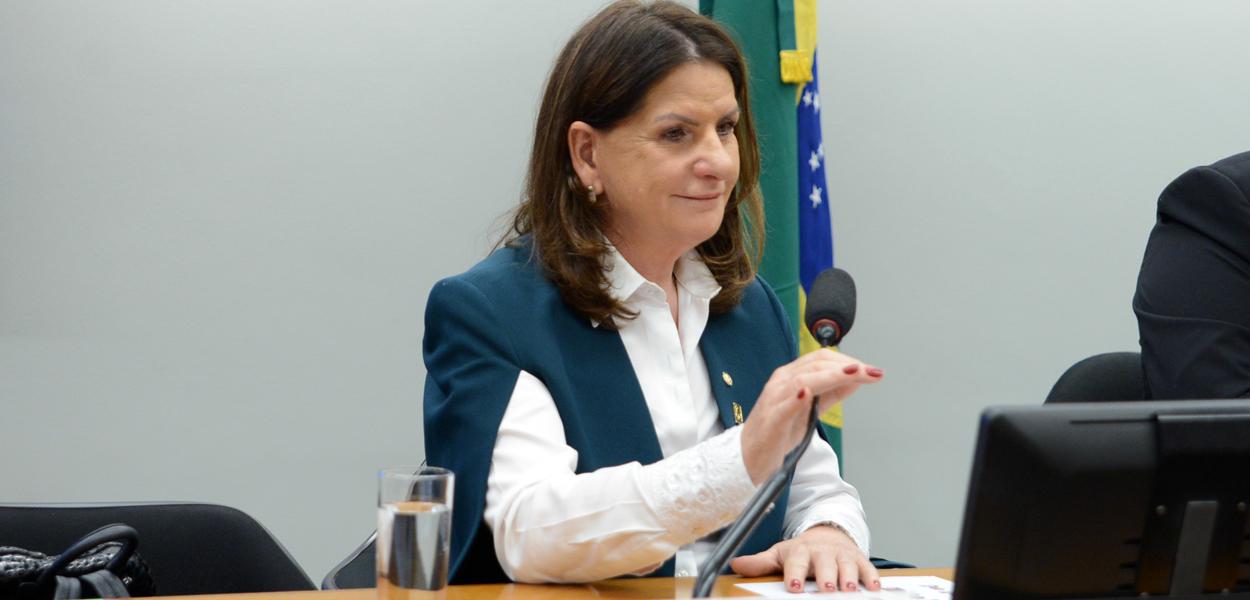 Deputada Carmen Zanotto (Cidadania-SC) é relatora da PEC 11