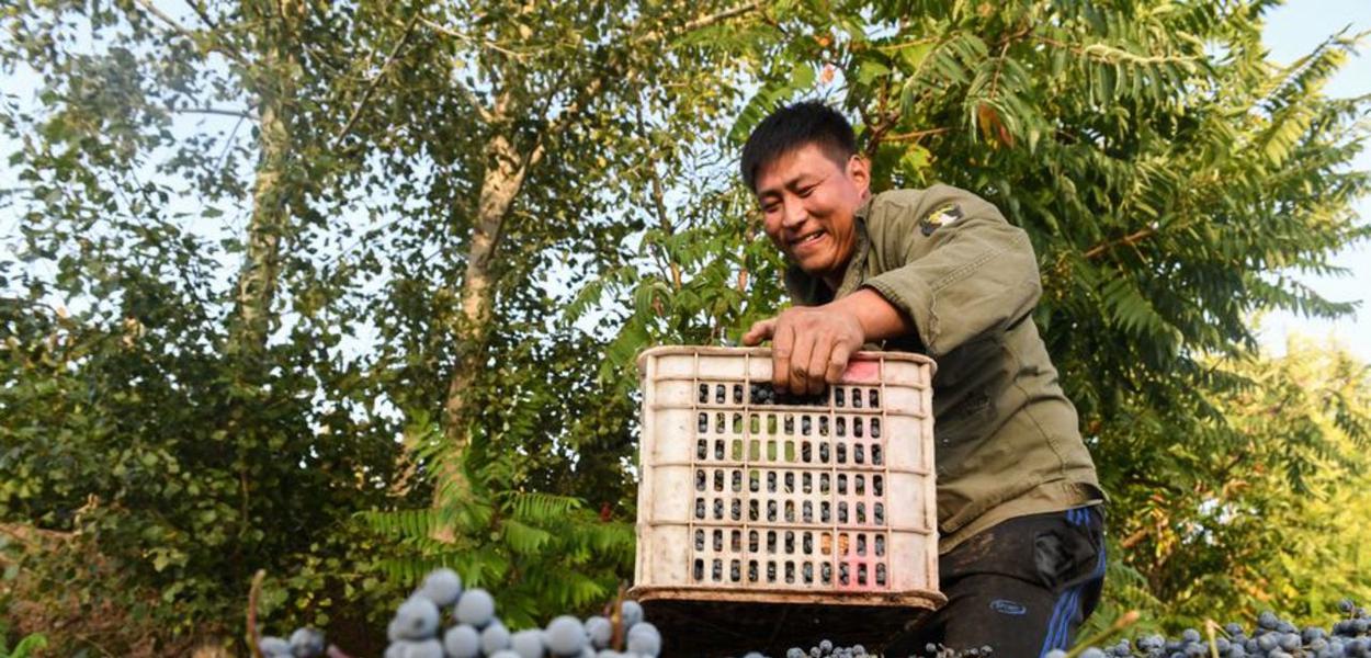 China, luta contra a pobreza