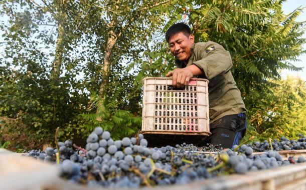 China, luta contra a pobreza