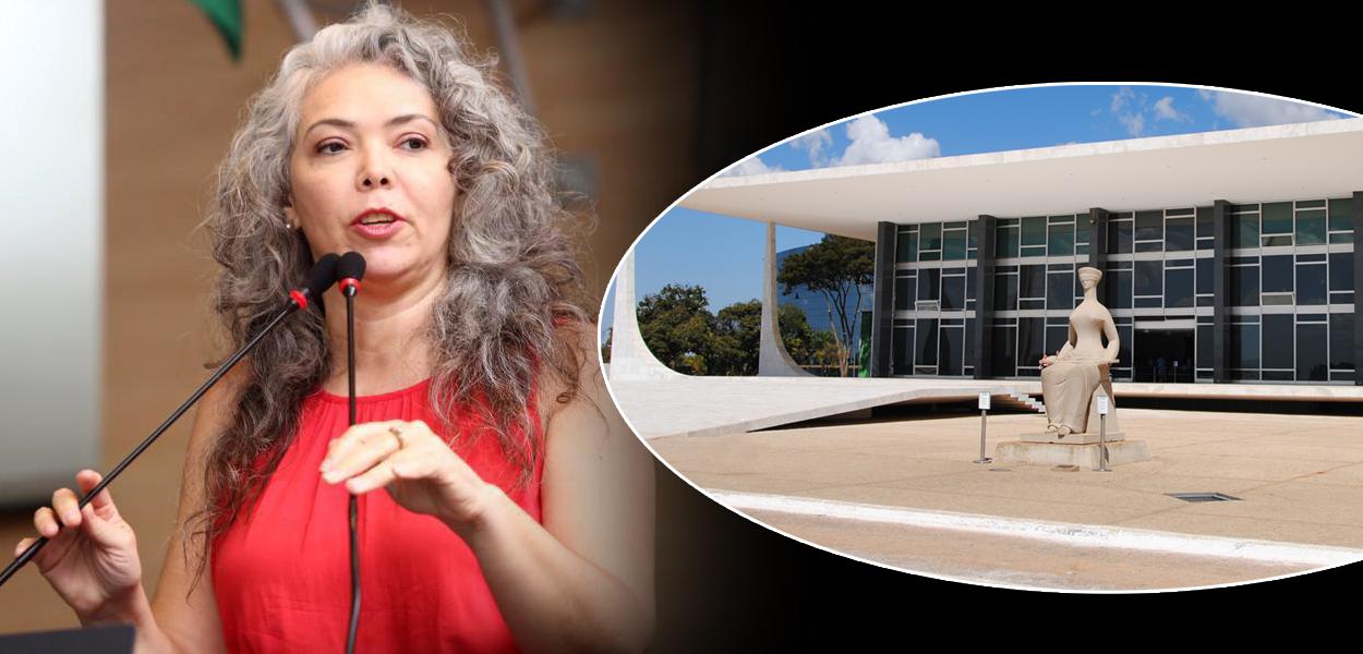 Liana Cirne Lins e o Supremo Tribunal Federal