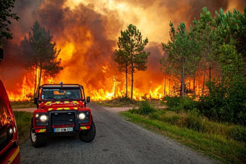 Árvores queimam em meio a um incêndio florestal perto de Landiras, França, em 13 de julho de 2022