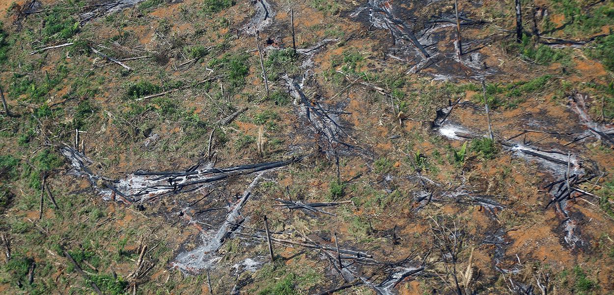 Área desmatada da floresta amazônica no Estado de Rondônia