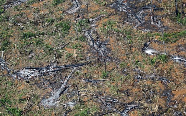 Área desmatada da floresta amazônica no Estado de Rondônia