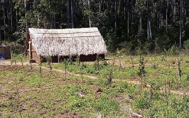 Aldeia Guarani Guajayvi, em Charqueadas