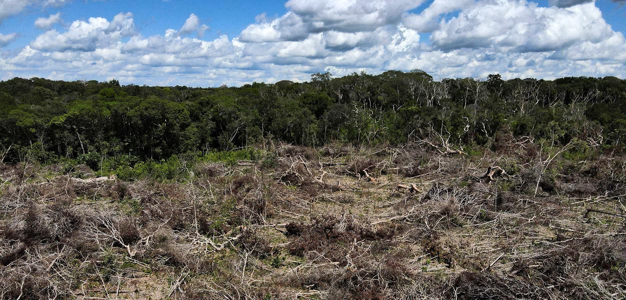 Vista aérea de área desmatada da floresta amazônica em Manaus 08/07/2022