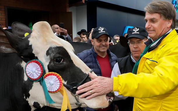 Bolsonaro com gado