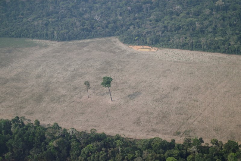 Vista aérea de área desmatada na floresta amazônica perto de Porto Velho