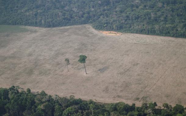 Vista aérea de área desmatada na floresta amazônica perto de Porto Velho