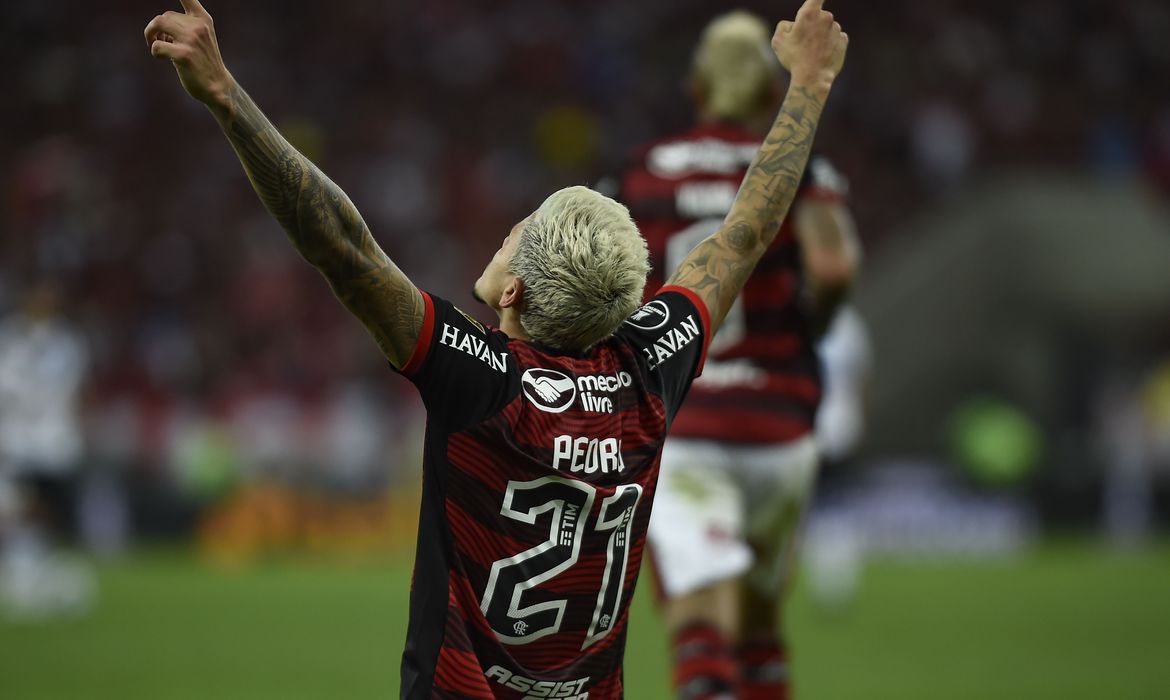 Flamengo na Libertadores