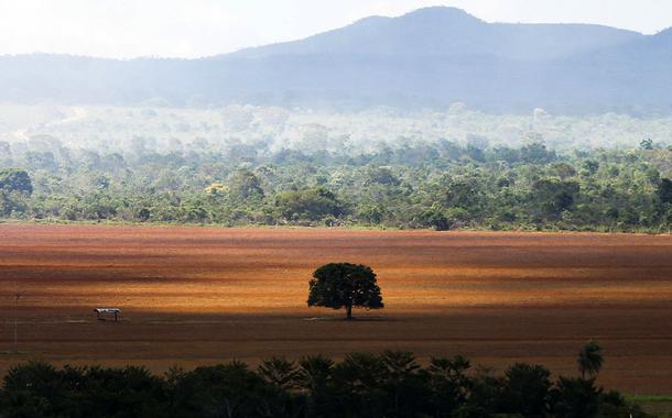 Alto Paraíso (GO) -  Área de cerrado desmatada para plantio no município de Alto Paraíso