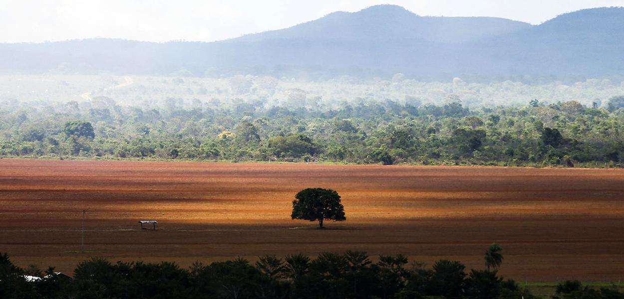 Alto Paraíso (GO) -  Área de cerrado desmatada para plantio no município de Alto Paraíso