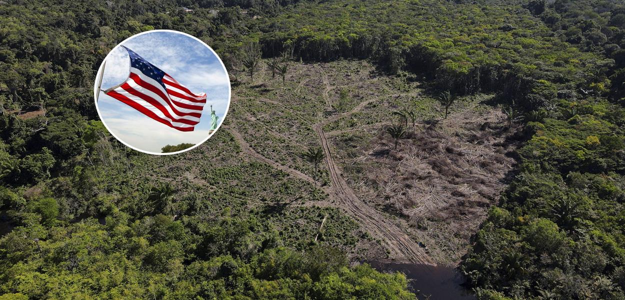 Bandeira dos EUA e a Amazônia