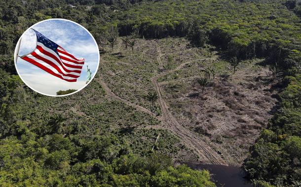 Bandeira dos EUA e a Amazônia