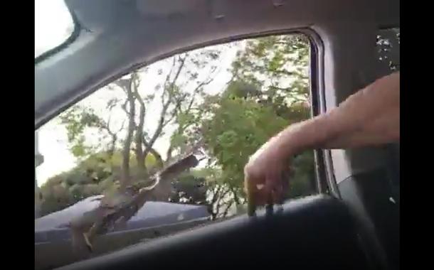 Homem joga capim em bolsonaristas:"hora do lanche"