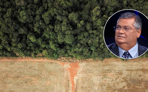 O senador Flávio Dino