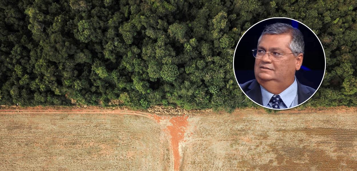 O senador Flávio Dino