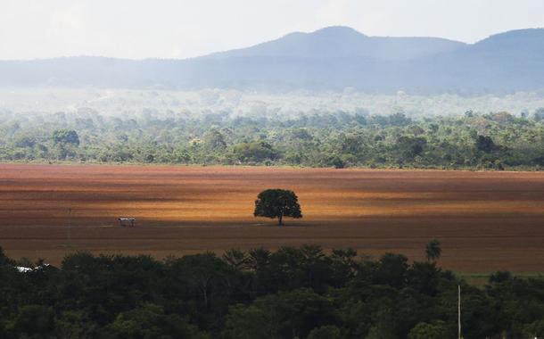 Área de cerrado desmatada para plantio no município de Alto Paraíso (GO)