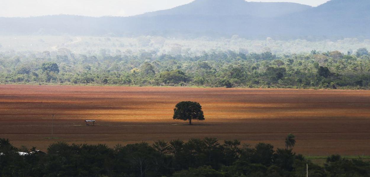 Área de cerrado desmatada para plantio no município de Alto Paraíso (GO)