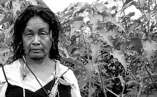 Retrato de Estela Vera Guarani feito em 2016 pela antropóloga Lauriene Seraguza