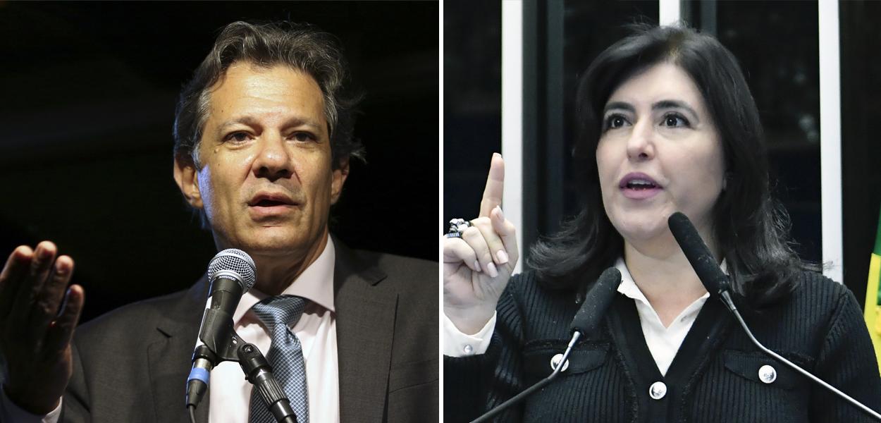 Fernando Haddad e Simone Tebet