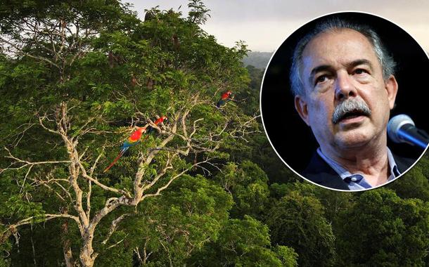Amazônia e Aloizio Mercadante