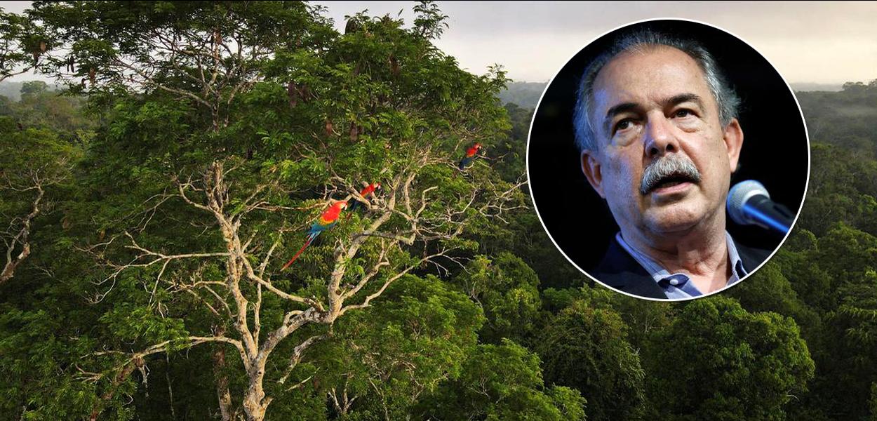 Amazônia e Aloizio Mercadante