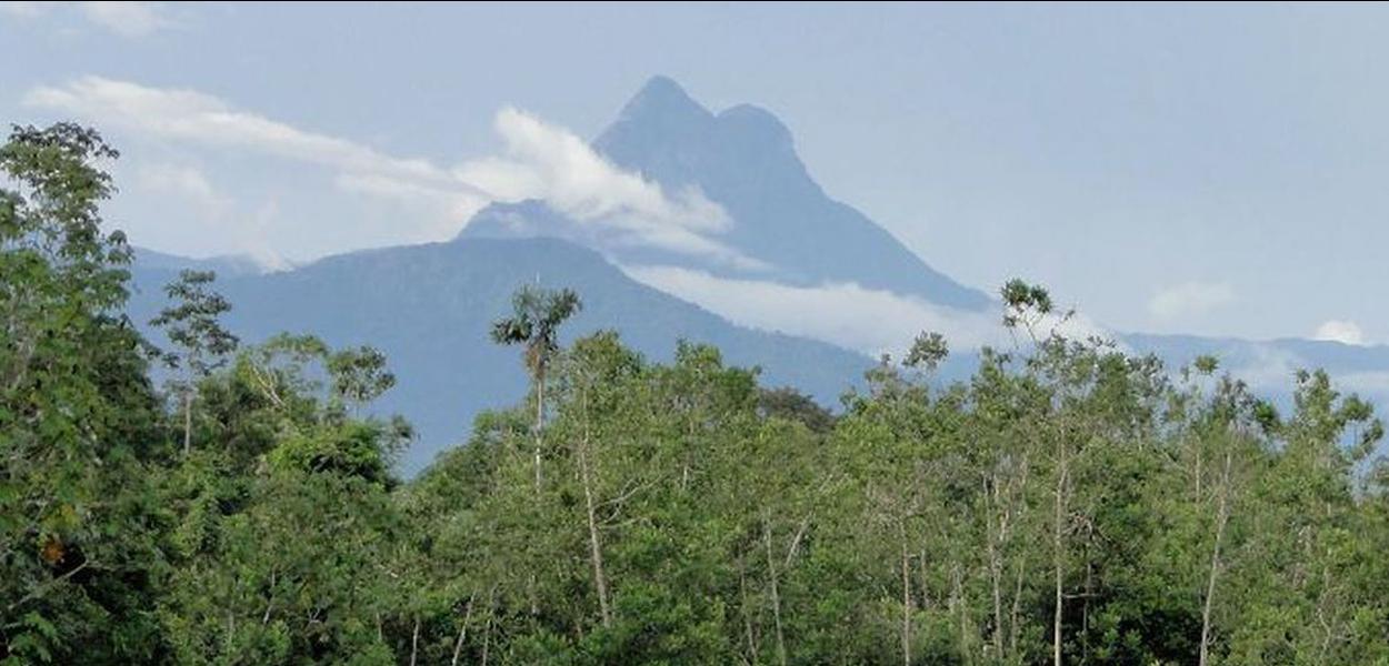 Pico da Neblina