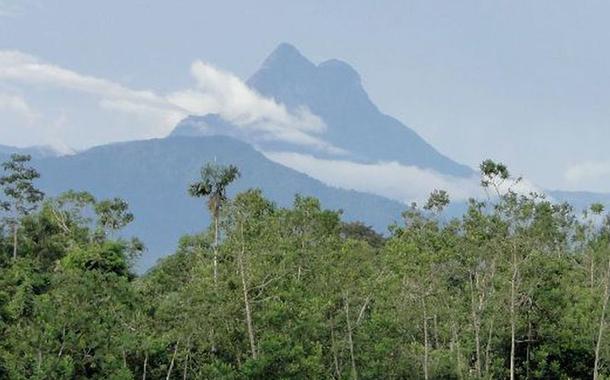 Pico da Neblina