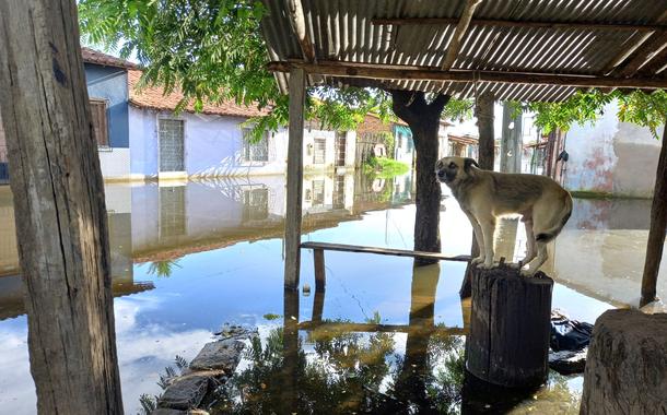 Fortes chuvas que atingem mais de 60 cidades no Maranhão - Bacabal (MA), 09.04.2023