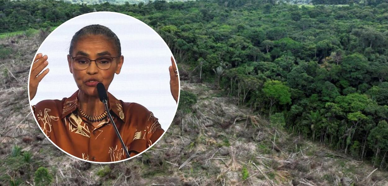 Marina Silva e vista aérea de trecho desmatado no Estado do Pará