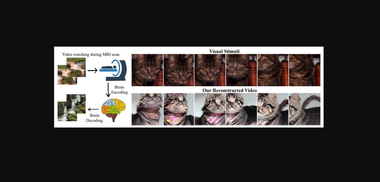 Decodificação cerebral e reconstrução de vídeo. Propomos uma abordagem de aprendizagem progressiva para recuperar a experiência visual contínua de fMRI. Vídeos de alta qualidade com semântica e movimentos precisos são reconstruídos