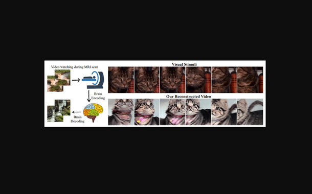 Decodificação cerebral e reconstrução de vídeo. Propomos uma abordagem de aprendizagem progressiva para recuperar a experiência visual contínua de fMRI. Vídeos de alta qualidade com semântica e movimentos precisos são reconstruídos