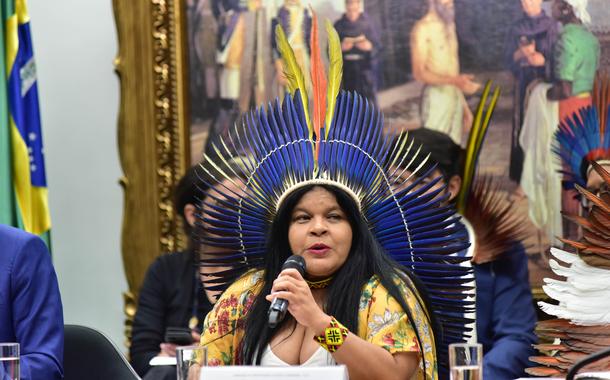 Ministra dos Povos Indígenas, Sonia Guajajara