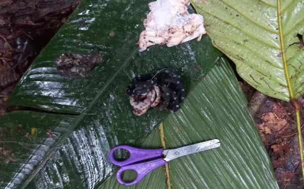 Enfeites de cabelo e tesoura usadas pelas crianças que ficaram perdidas na mata por 40 dias ajudaram os bombeiros a encontrar o seu paradeiro