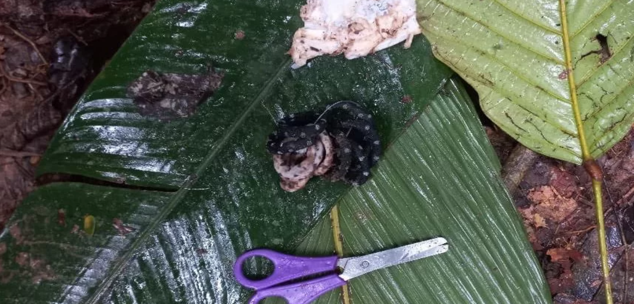 Enfeites de cabelo e tesoura usadas pelas crianças que ficaram perdidas na mata por 40 dias ajudaram os bombeiros a encontrar o seu paradeiro