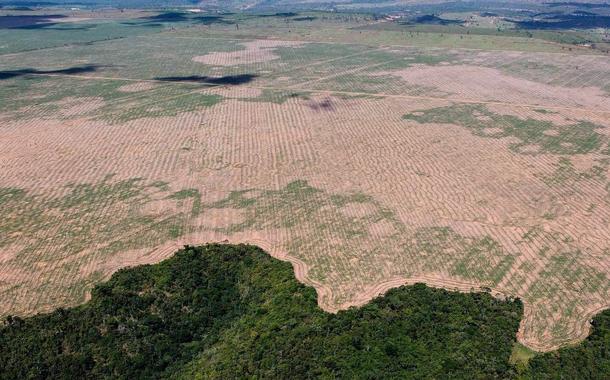 Desmatamento por madeireiros em reservas e terras indígenas no Maranhão