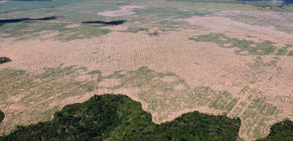 Desmatamento por madeireiros em reservas e terras indígenas no Maranhão