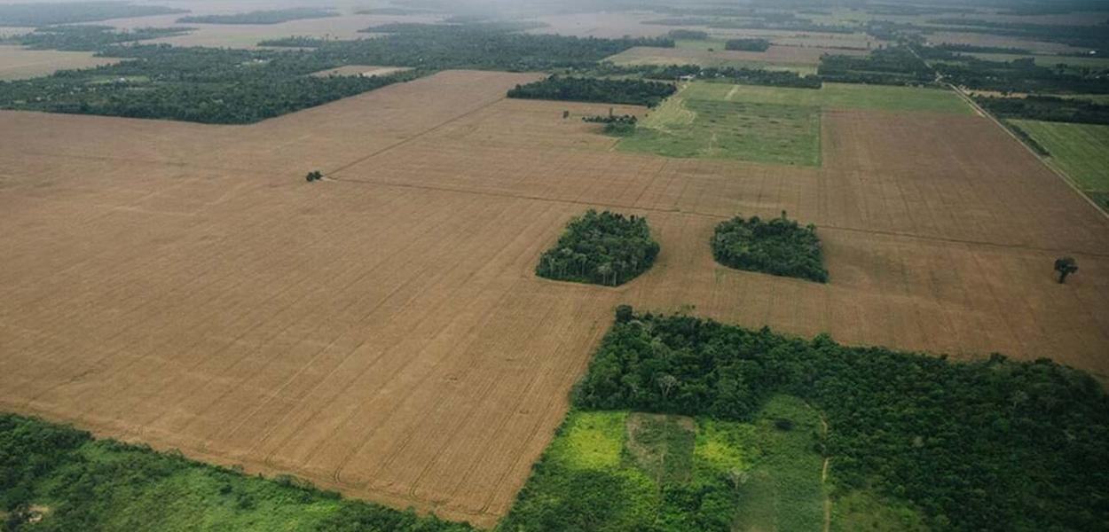 Em Itaituba, na região Tapajós, o número de plantações de soja aumentou após a construção de porto graneleiro da Cargill