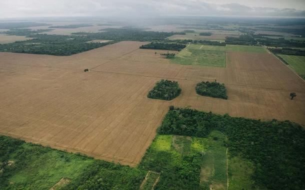 Em Itaituba, na região Tapajós, o número de plantações de soja aumentou após a construção de porto graneleiro da Cargill