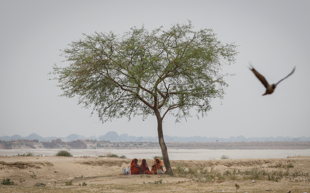 Mulheres descansam em baixo de árvore durante onda de calor, em Uttar Pradesh, Índia 21/06/2023