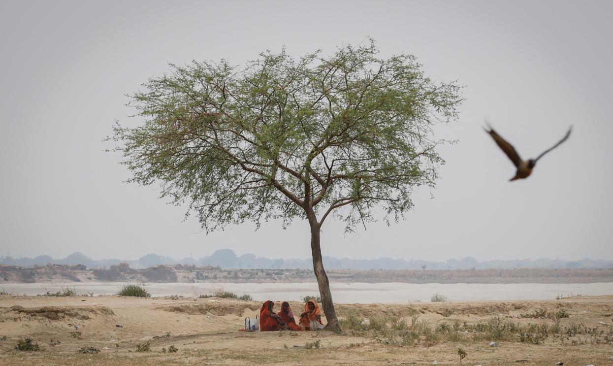 Mulheres descansam em baixo de árvore durante onda de calor, em Uttar Pradesh, Índia 21/06/2023